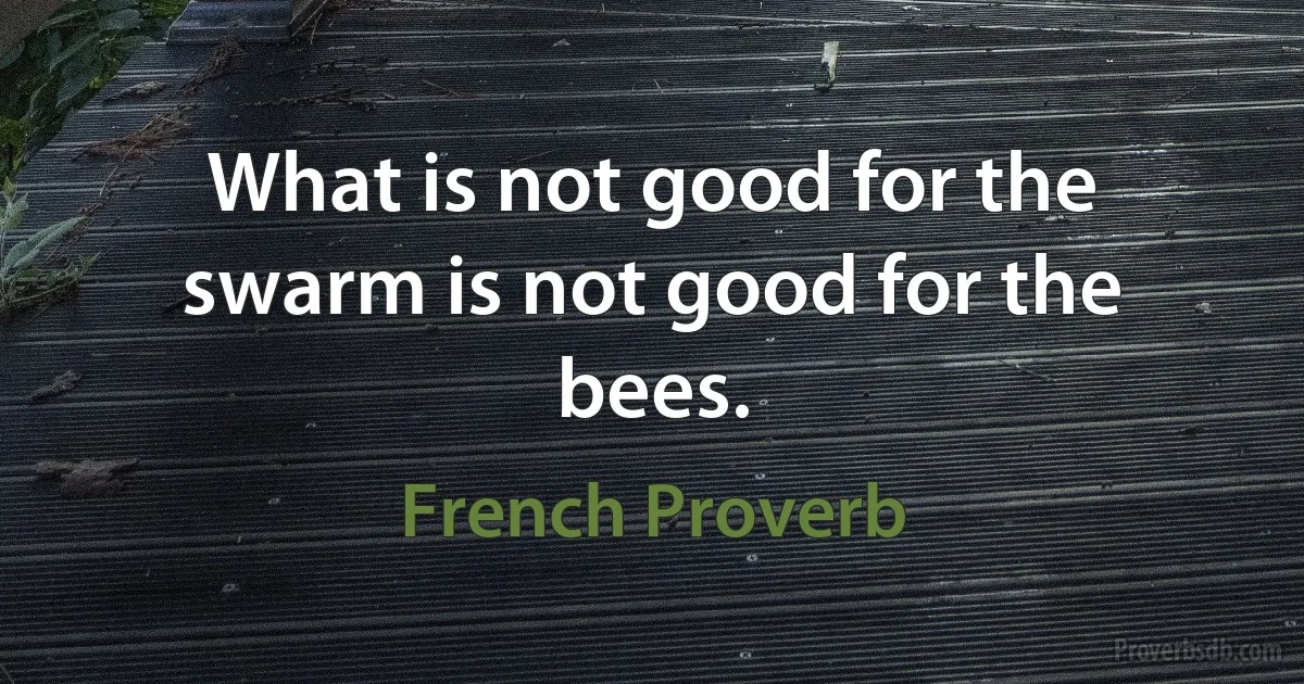 What is not good for the swarm is not good for the bees. (French Proverb)