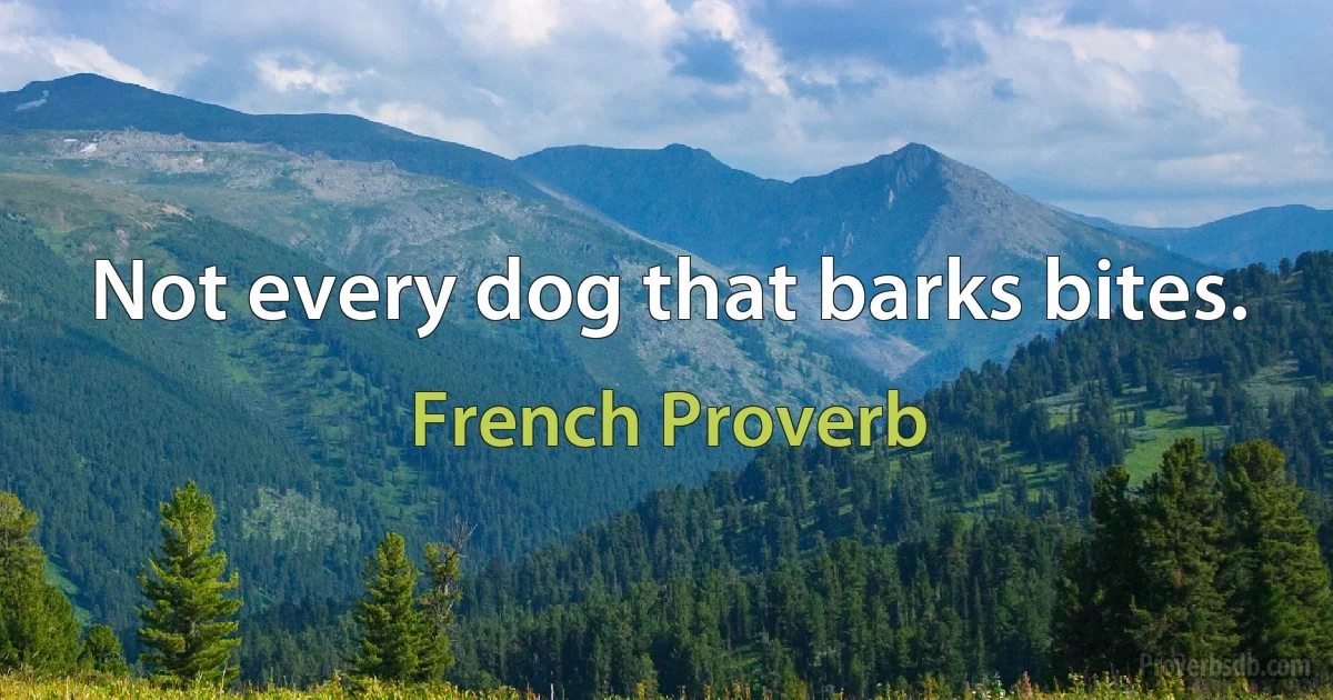 Not every dog that barks bites. (French Proverb)