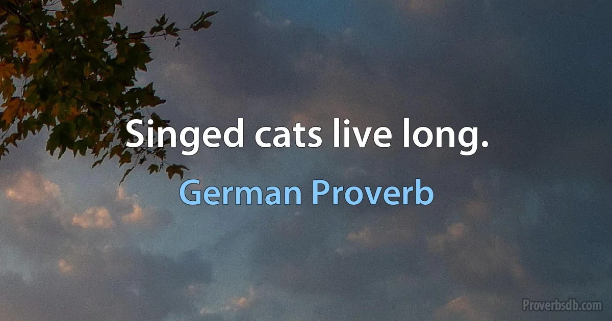 Singed cats live long. (German Proverb)