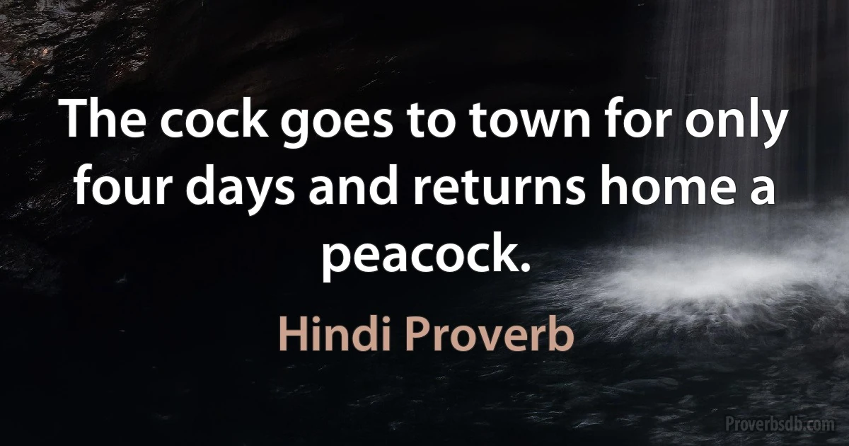 The cock goes to town for only four days and returns home a peacock. (Hindi Proverb)