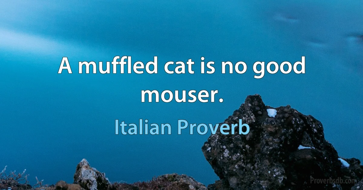 A muffled cat is no good mouser. (Italian Proverb)