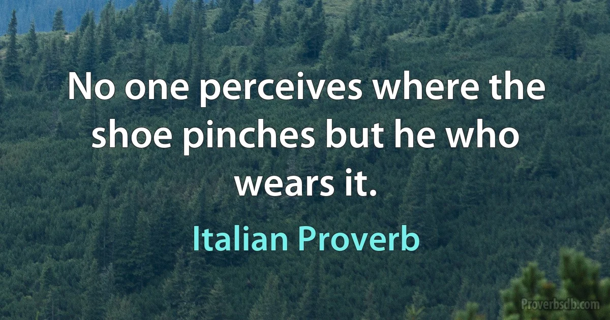 No one perceives where the shoe pinches but he who wears it. (Italian Proverb)