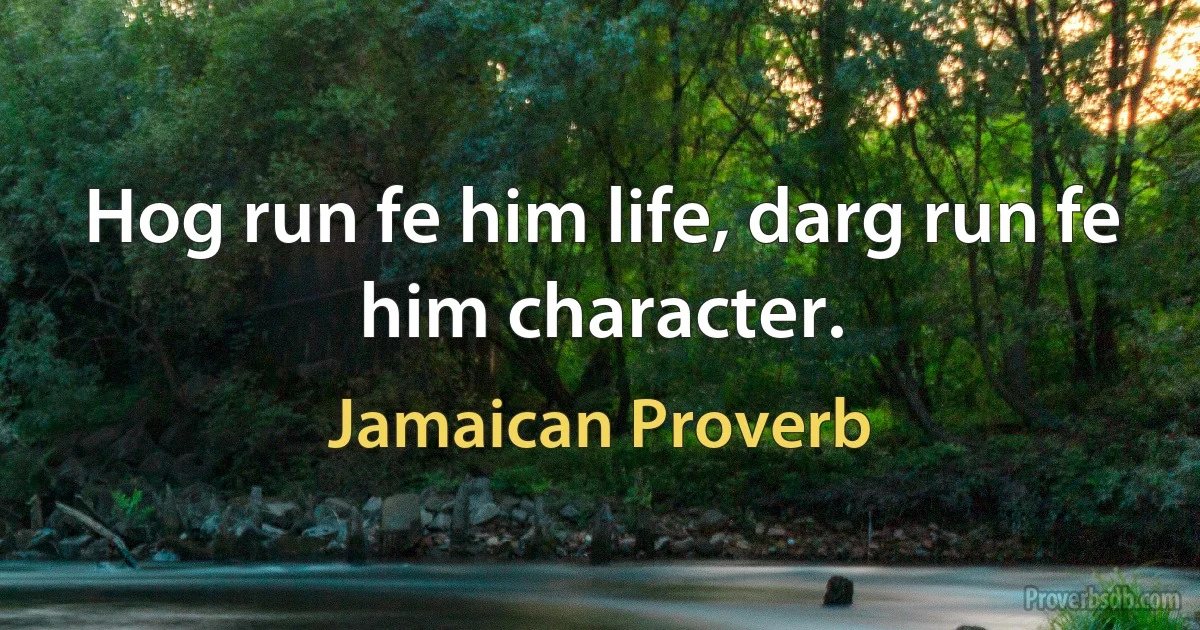 Hog run fe him life, darg run fe him character. (Jamaican Proverb)