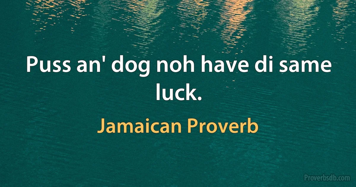 Puss an' dog noh have di same luck. (Jamaican Proverb)