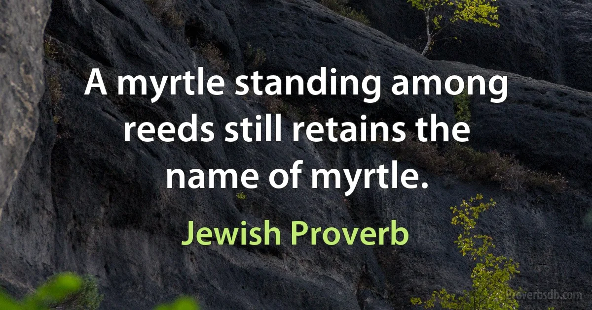 A myrtle standing among reeds still retains the name of myrtle. (Jewish Proverb)