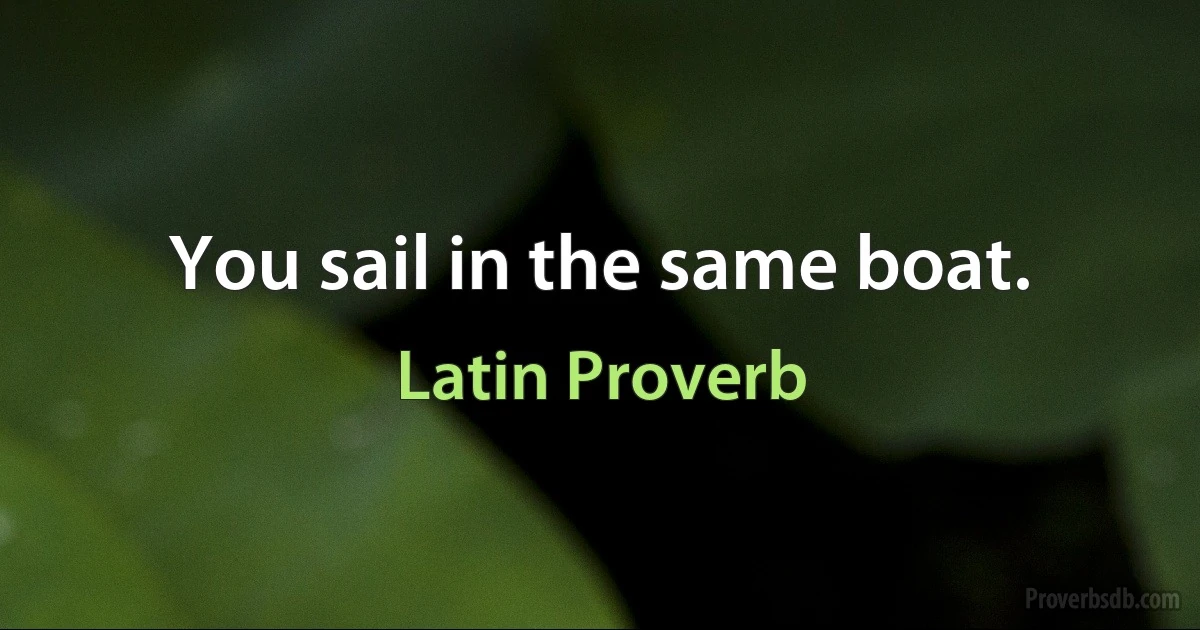 You sail in the same boat. (Latin Proverb)