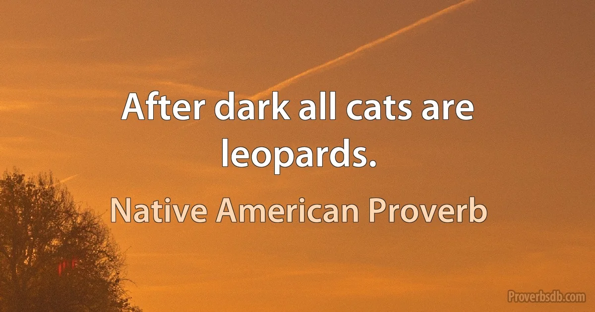 After dark all cats are leopards. (Native American Proverb)