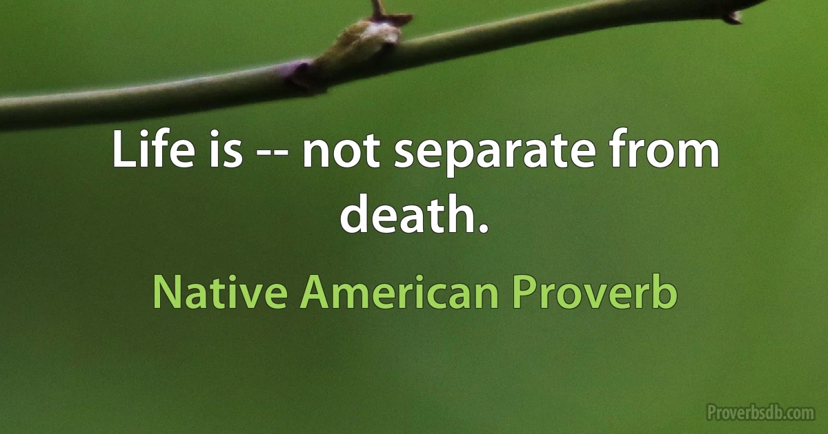 Life is -- not separate from death. (Native American Proverb)