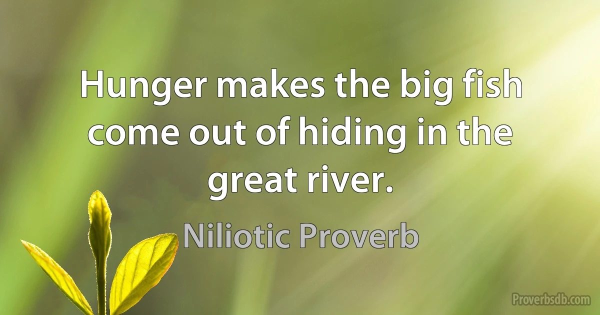 Hunger makes the big fish come out of hiding in the great river. (Niliotic Proverb)