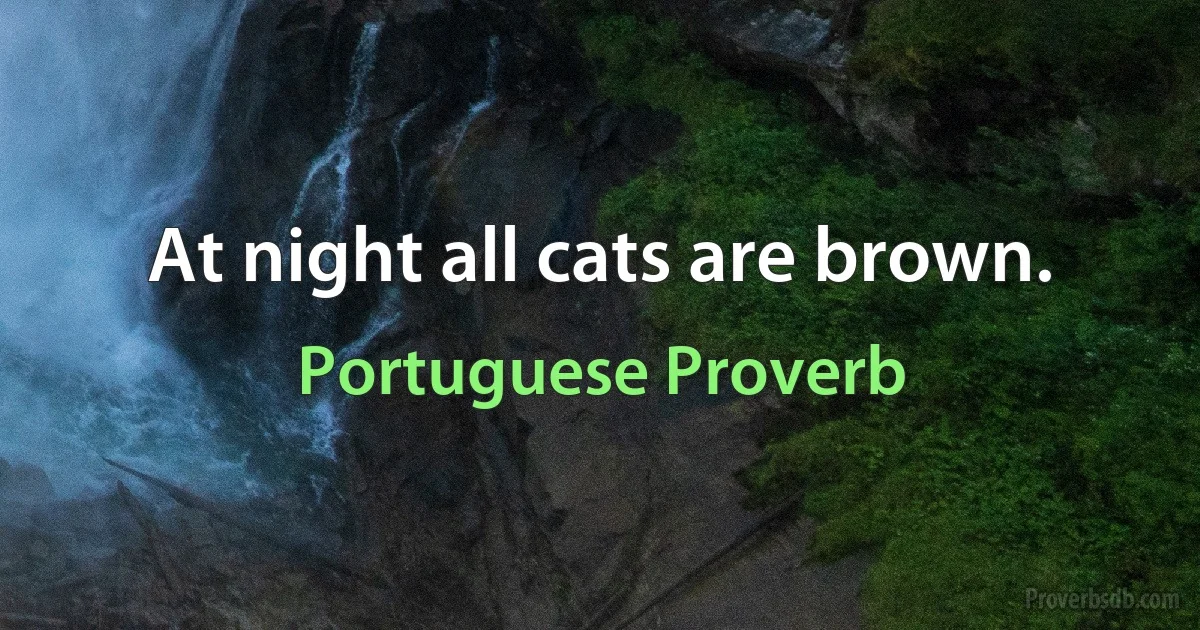 At night all cats are brown. (Portuguese Proverb)