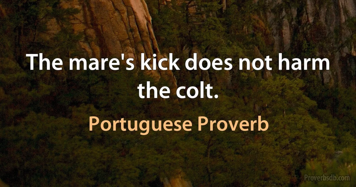 The mare's kick does not harm the colt. (Portuguese Proverb)