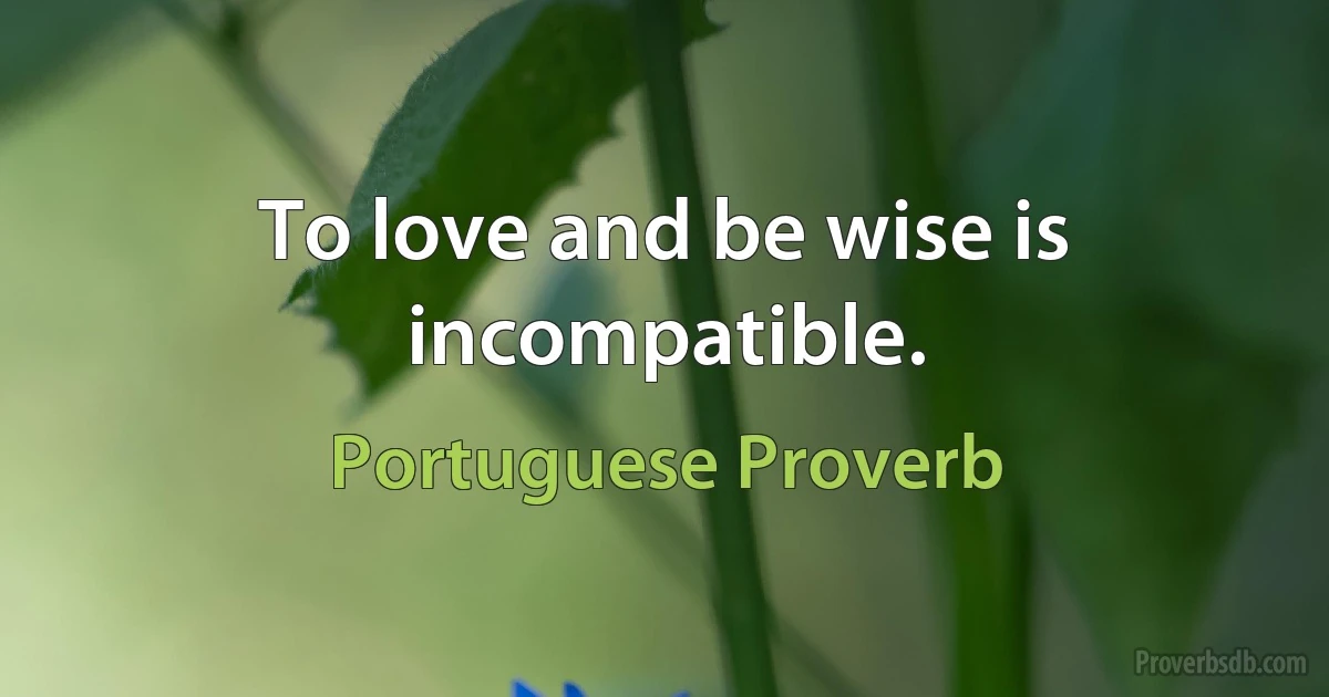 To love and be wise is incompatible. (Portuguese Proverb)