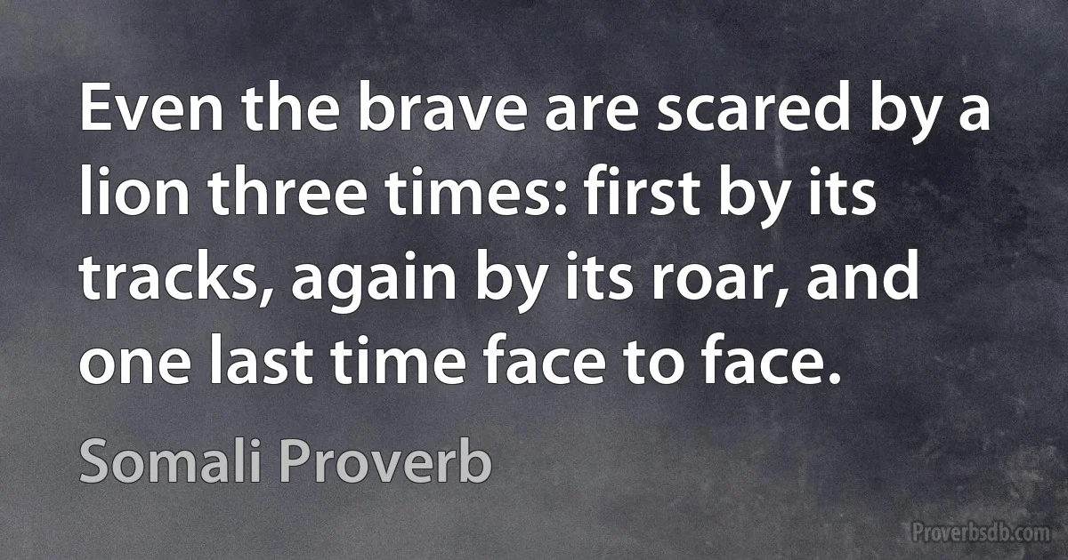 Even the brave are scared by a lion three times: first by its tracks, again by its roar, and one last time face to face. (Somali Proverb)