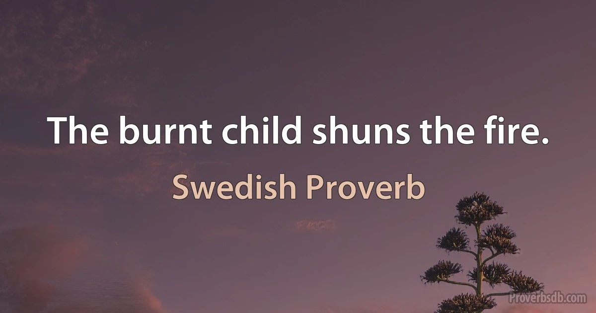 The burnt child shuns the fire. (Swedish Proverb)