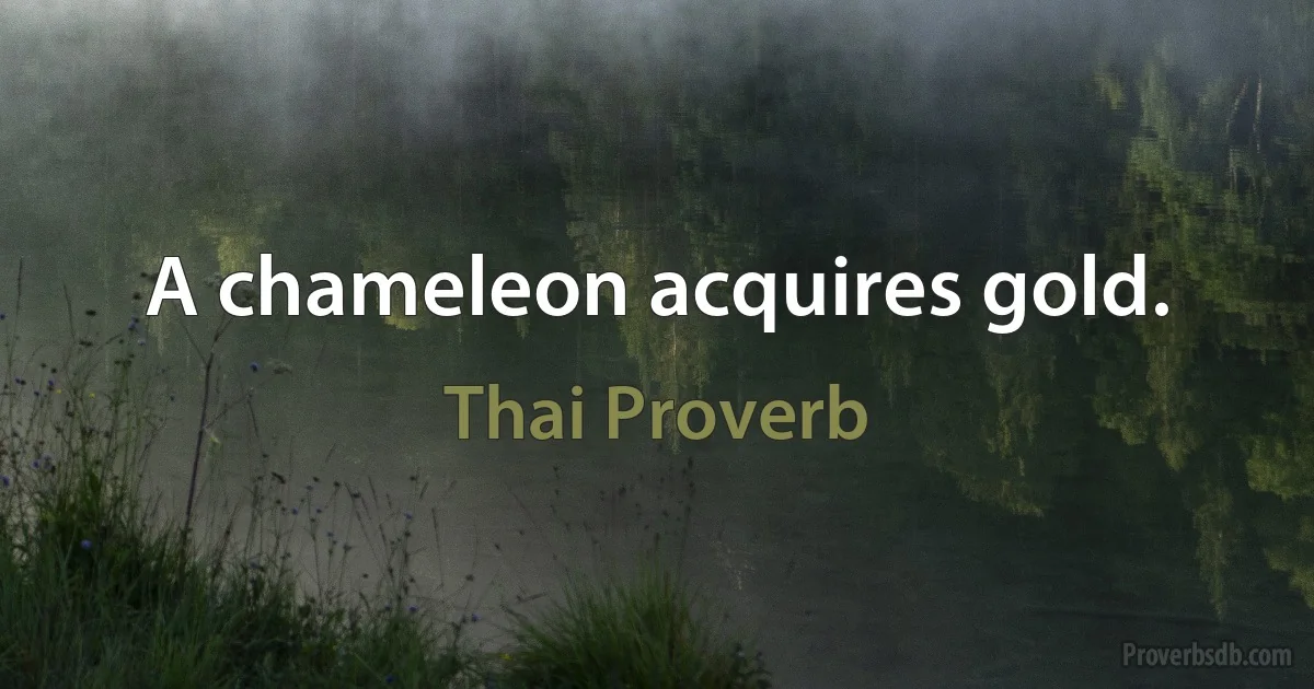 A chameleon acquires gold. (Thai Proverb)