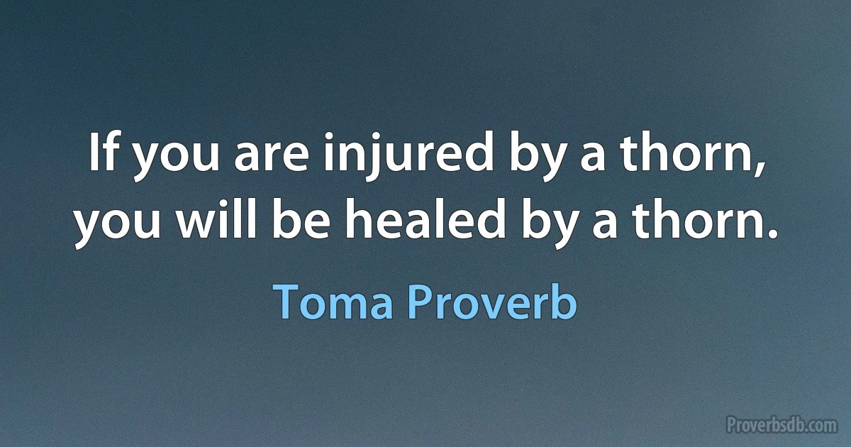 If you are injured by a thorn, you will be healed by a thorn. (Toma Proverb)