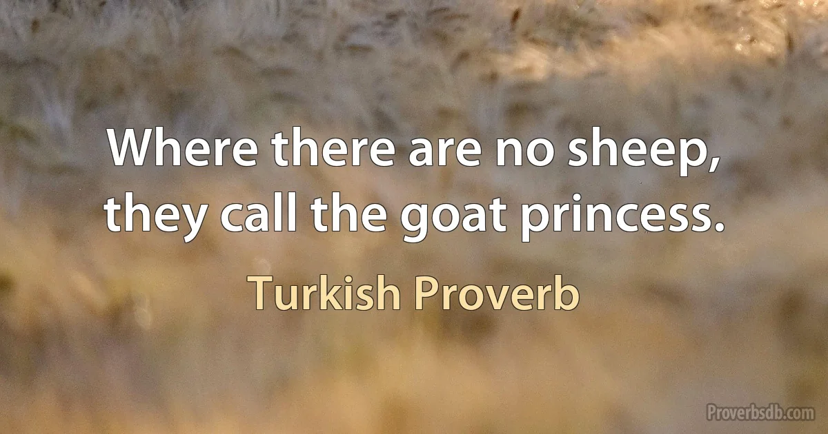 Where there are no sheep, they call the goat princess. (Turkish Proverb)