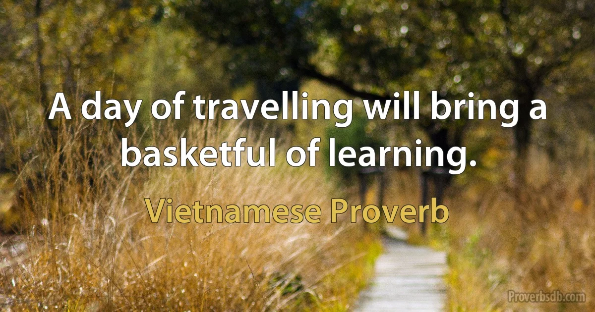 A day of travelling will bring a basketful of learning. (Vietnamese Proverb)