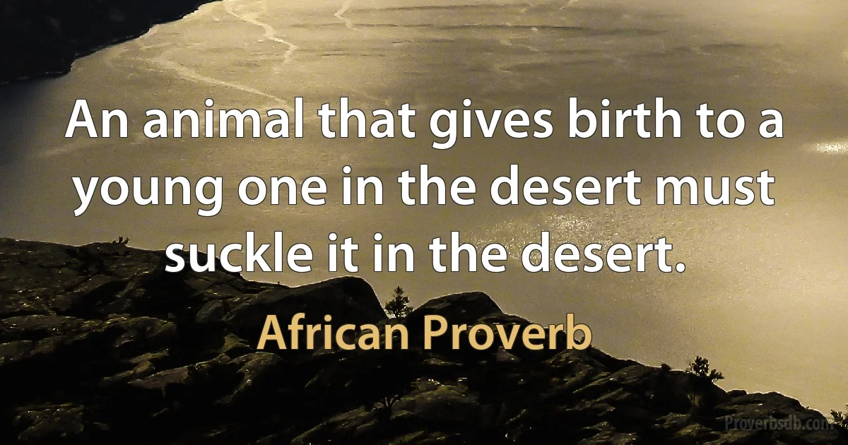 An animal that gives birth to a young one in the desert must suckle it in the desert. (African Proverb)