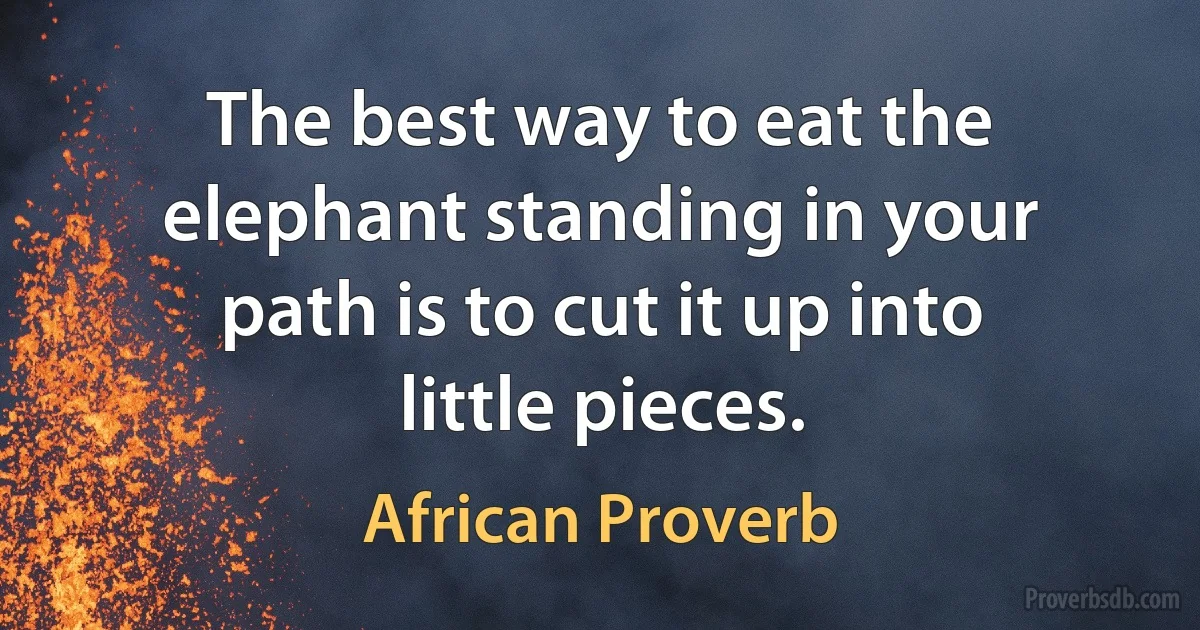 The best way to eat the elephant standing in your path is to cut it up into little pieces. (African Proverb)