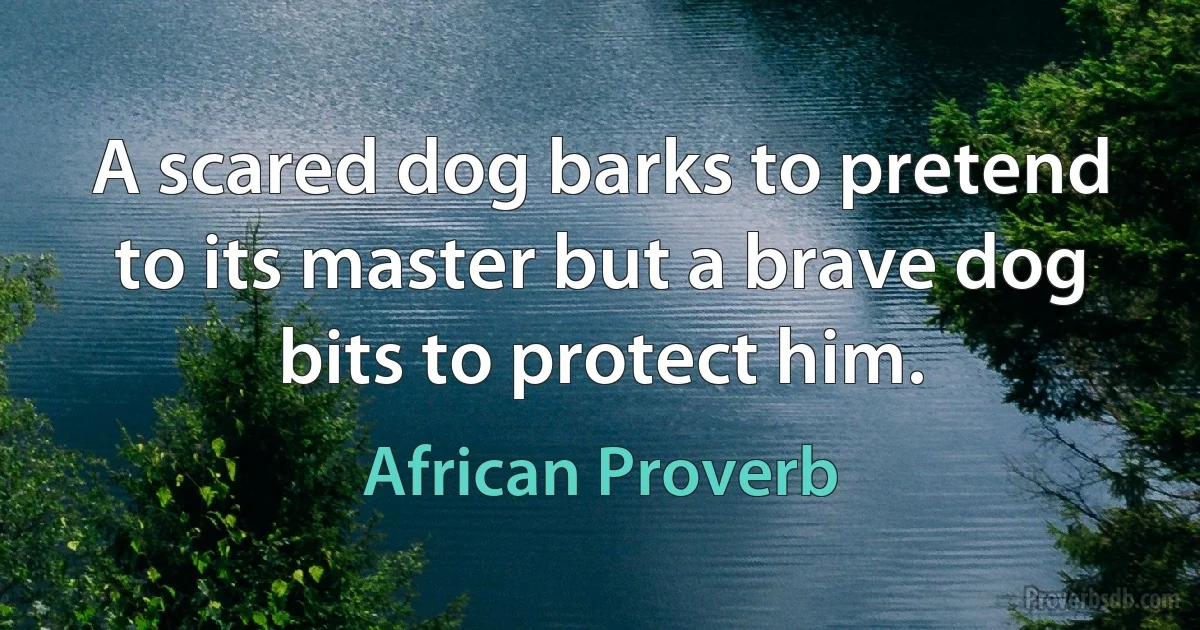 A scared dog barks to pretend to its master but a brave dog bits to protect him. (African Proverb)