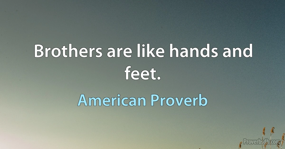 Brothers are like hands and feet. (American Proverb)