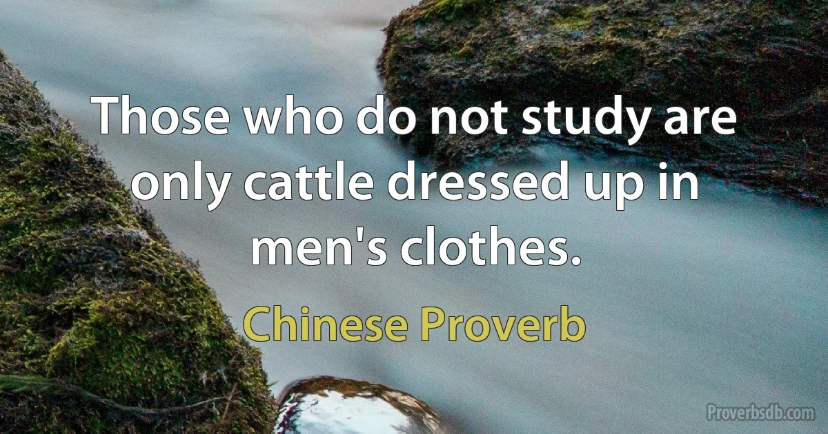 Those who do not study are only cattle dressed up in men's clothes. (Chinese Proverb)