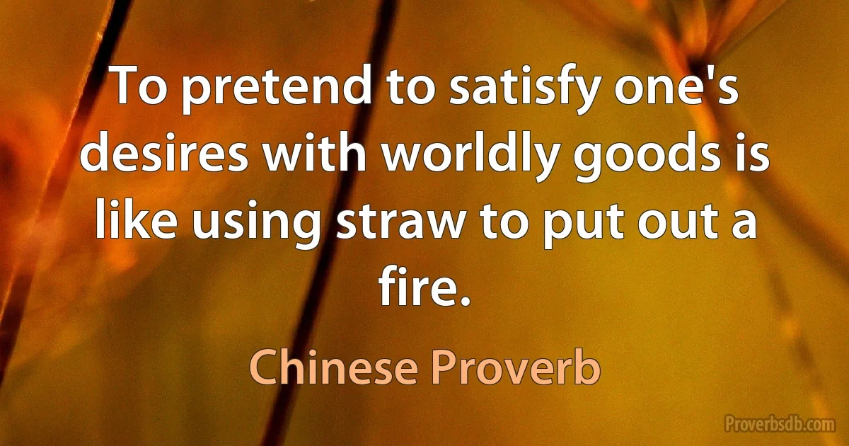 To pretend to satisfy one's desires with worldly goods is like using straw to put out a fire. (Chinese Proverb)