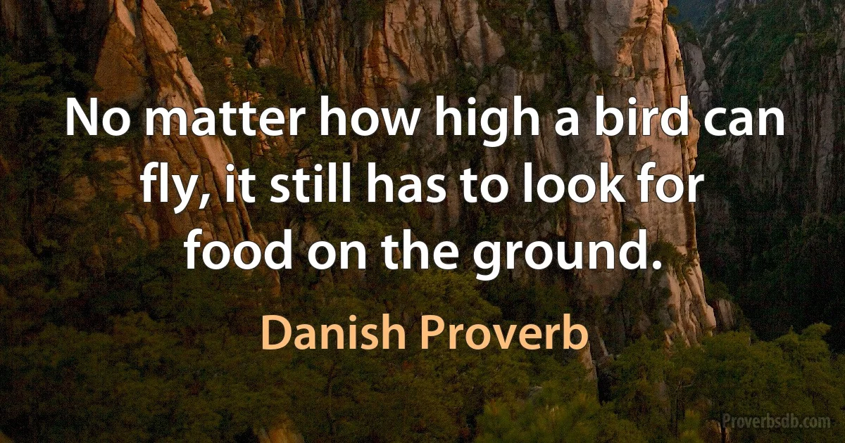 No matter how high a bird can fly, it still has to look for food on the ground. (Danish Proverb)