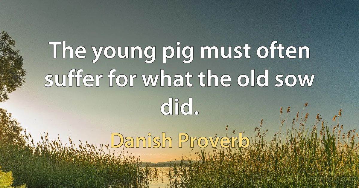 The young pig must often suffer for what the old sow did. (Danish Proverb)