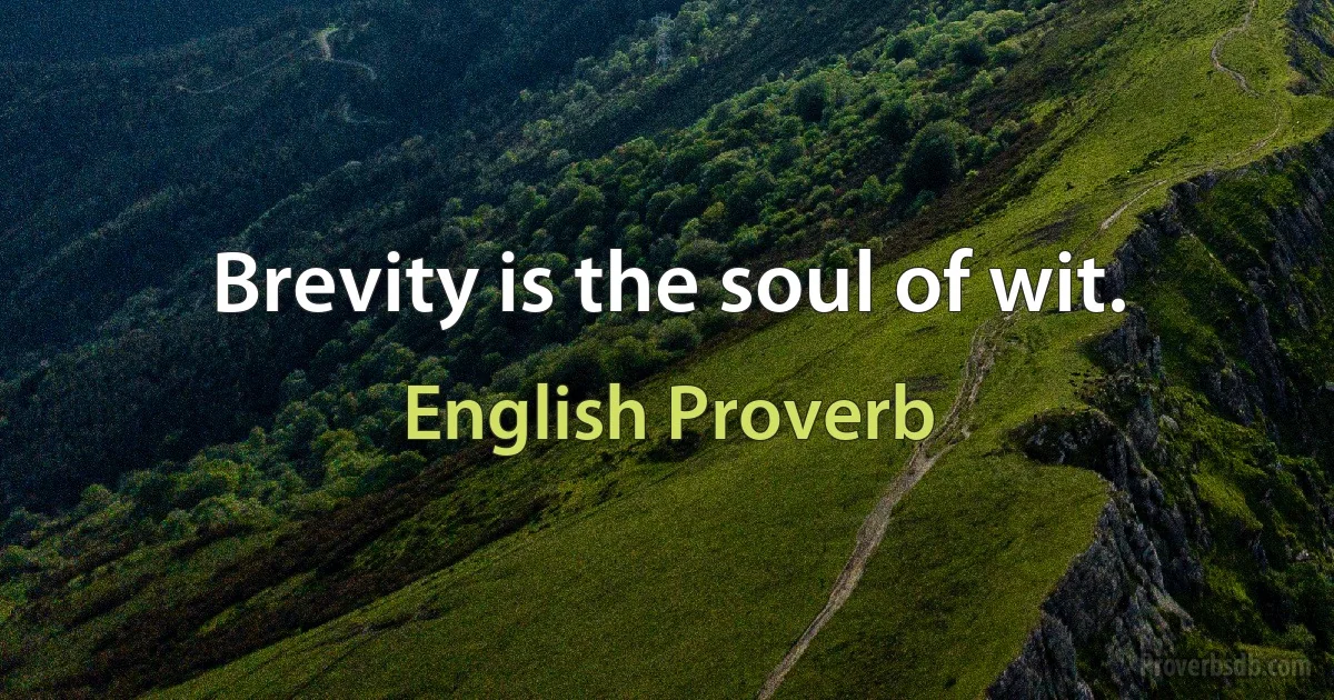 Brevity is the soul of wit. (English Proverb)