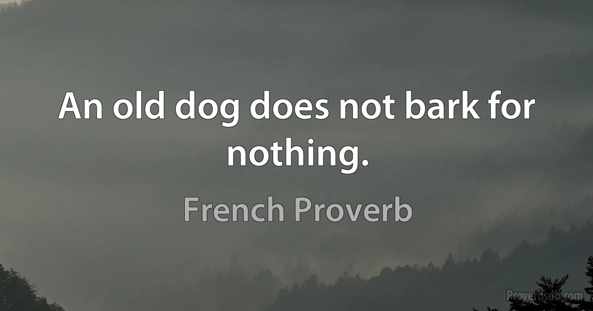 An old dog does not bark for nothing. (French Proverb)