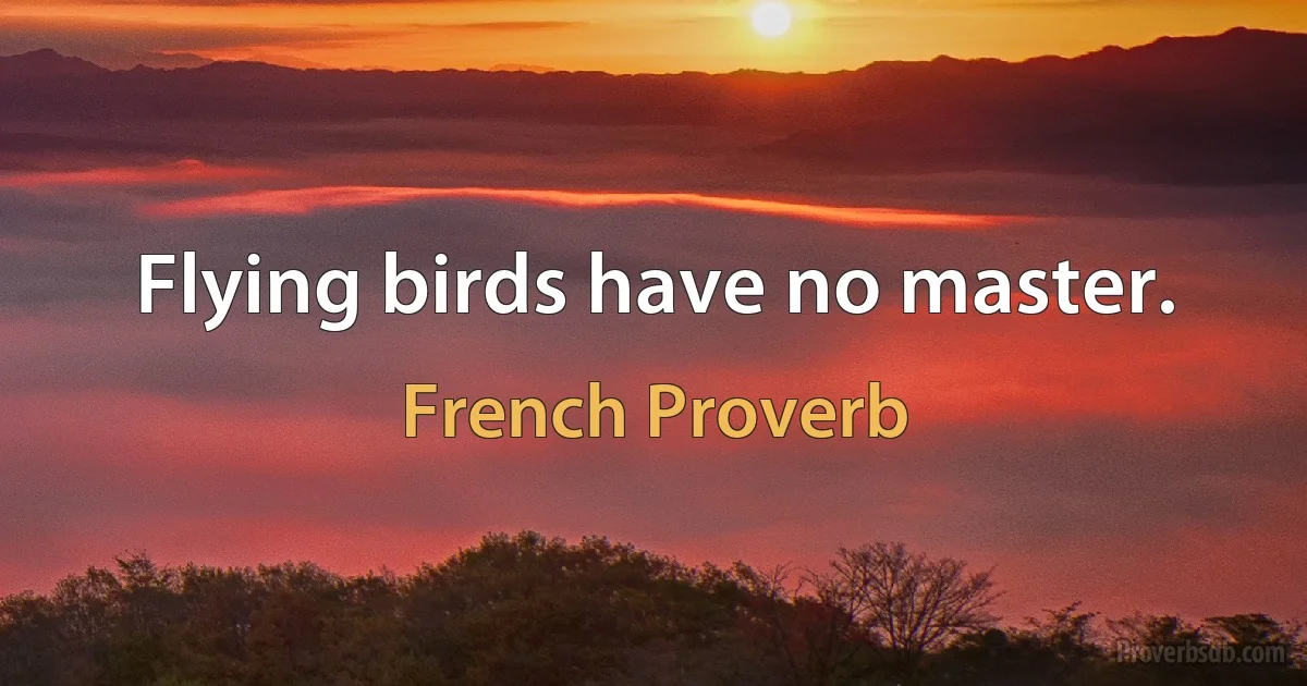 Flying birds have no master. (French Proverb)