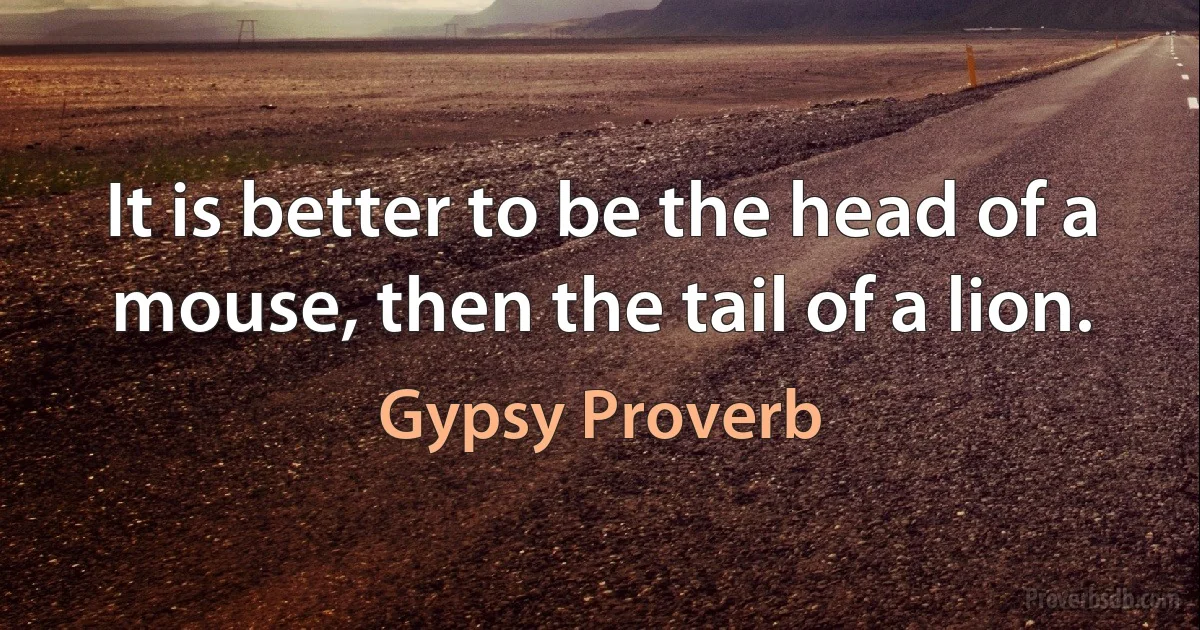 It is better to be the head of a mouse, then the tail of a lion. (Gypsy Proverb)