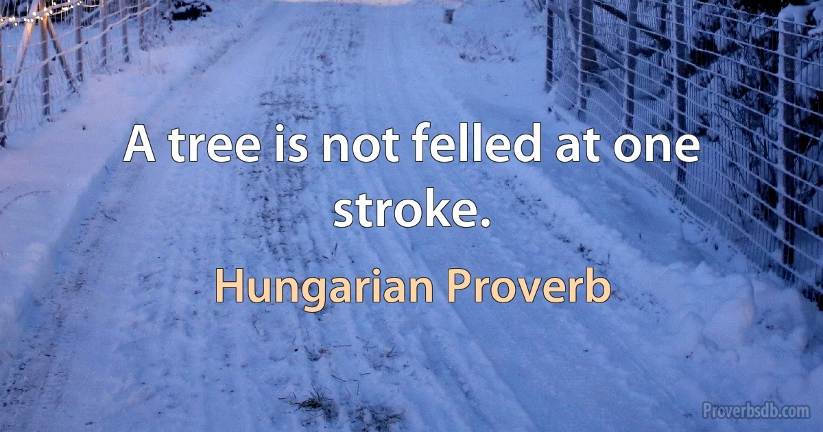 A tree is not felled at one stroke. (Hungarian Proverb)