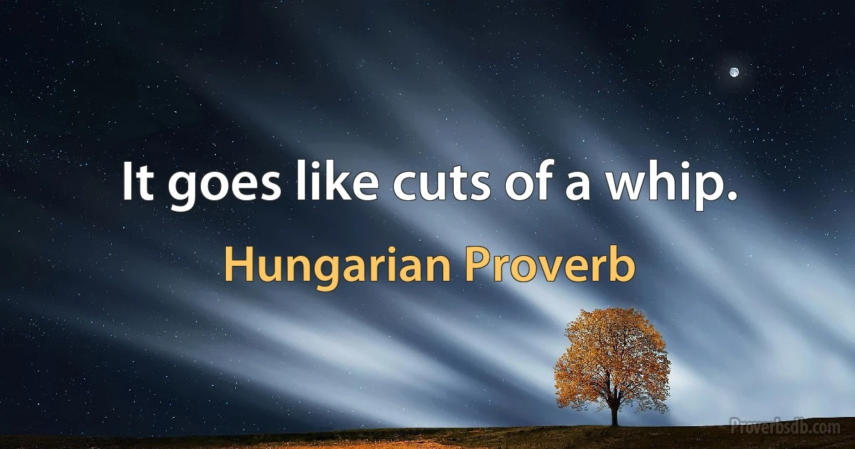 It goes like cuts of a whip. (Hungarian Proverb)