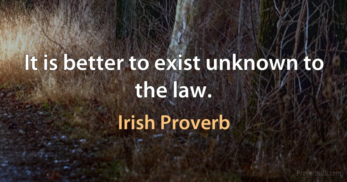 It is better to exist unknown to the law. (Irish Proverb)