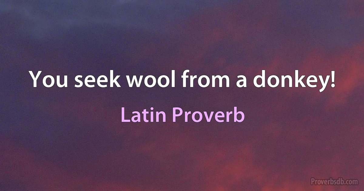 You seek wool from a donkey! (Latin Proverb)