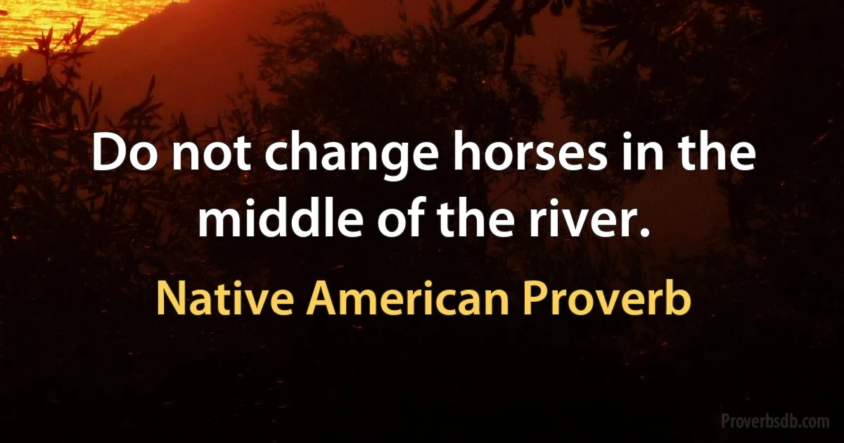 Do not change horses in the middle of the river. (Native American Proverb)