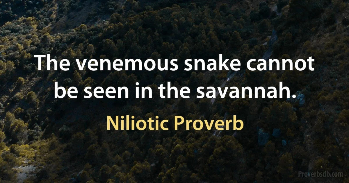 The venemous snake cannot be seen in the savannah. (Niliotic Proverb)