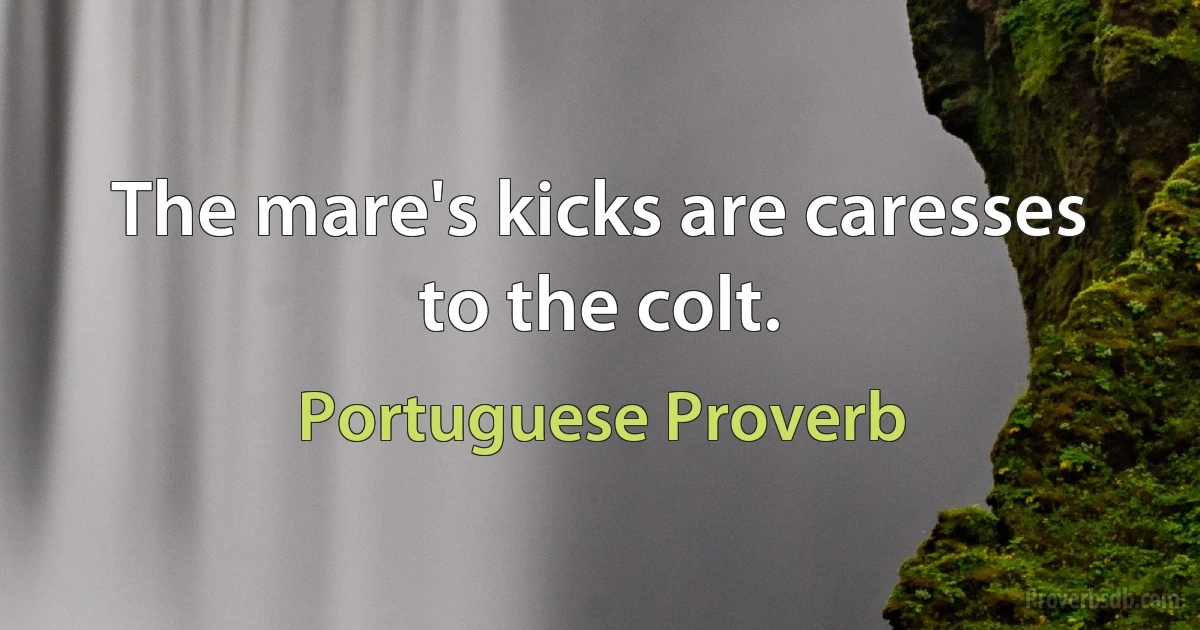 The mare's kicks are caresses to the colt. (Portuguese Proverb)