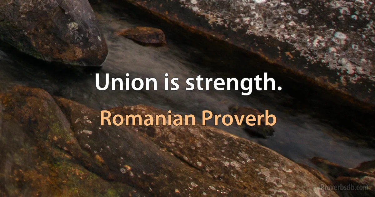 Union is strength. (Romanian Proverb)