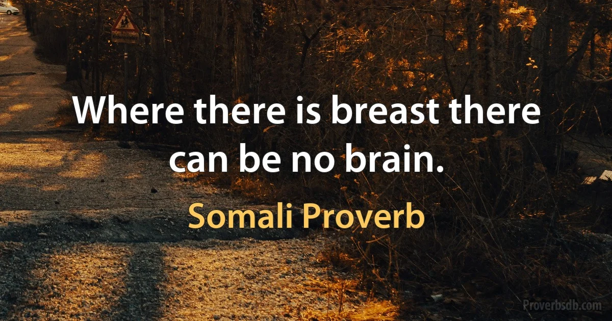 Where there is breast there can be no brain. (Somali Proverb)