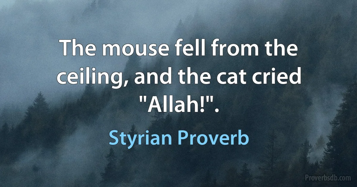 The mouse fell from the ceiling, and the cat cried "Allah!". (Styrian Proverb)