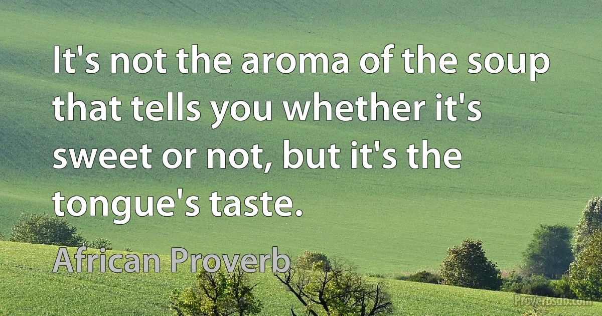 It's not the aroma of the soup that tells you whether it's sweet or not, but it's the tongue's taste. (African Proverb)