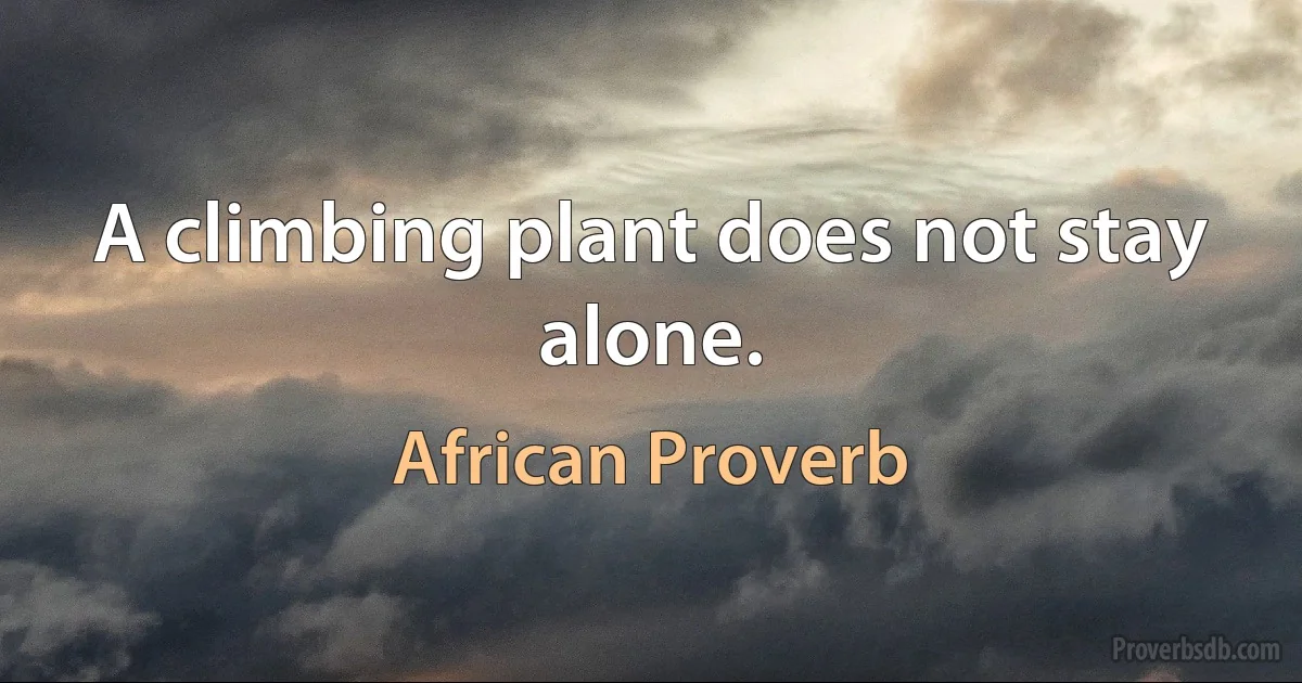 A climbing plant does not stay alone. (African Proverb)