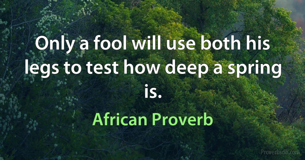 Only a fool will use both his legs to test how deep a spring is. (African Proverb)