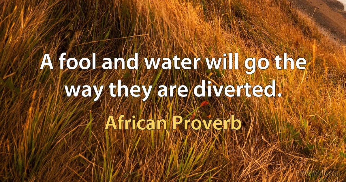 A fool and water will go the way they are diverted. (African Proverb)