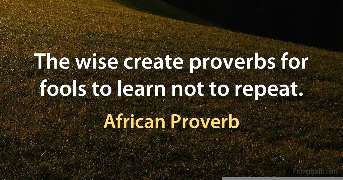 The wise create proverbs for fools to learn not to repeat. (African Proverb)