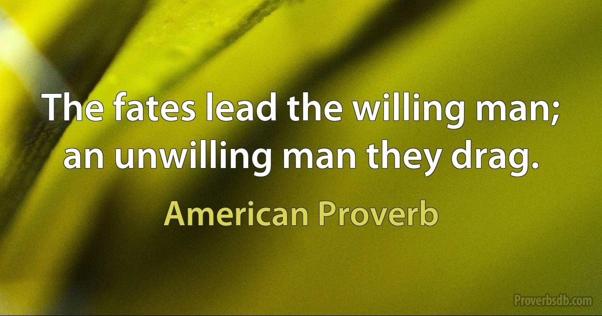 The fates lead the willing man; an unwilling man they drag. (American Proverb)